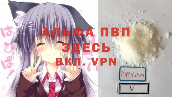 гидра Абинск
