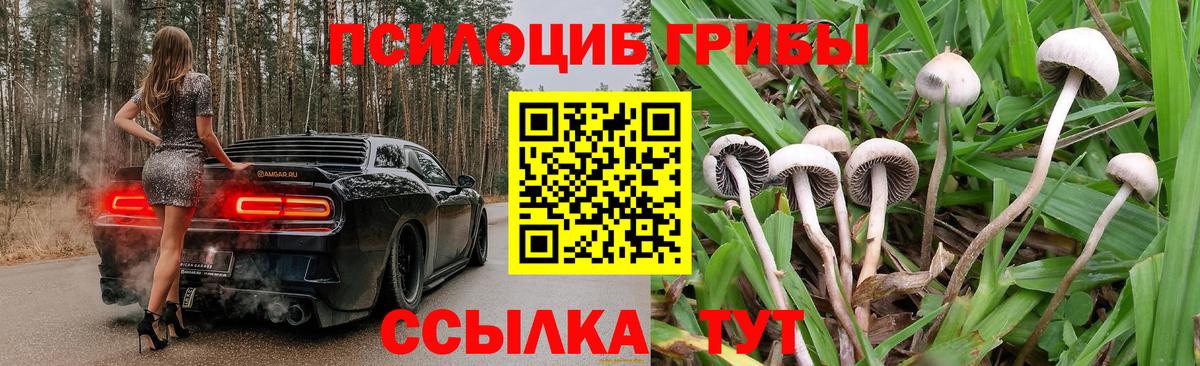 Галлюциногенные грибы Magic Shrooms Рославль